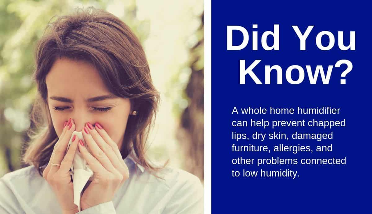 whole house humidifiers can help prevent allergies