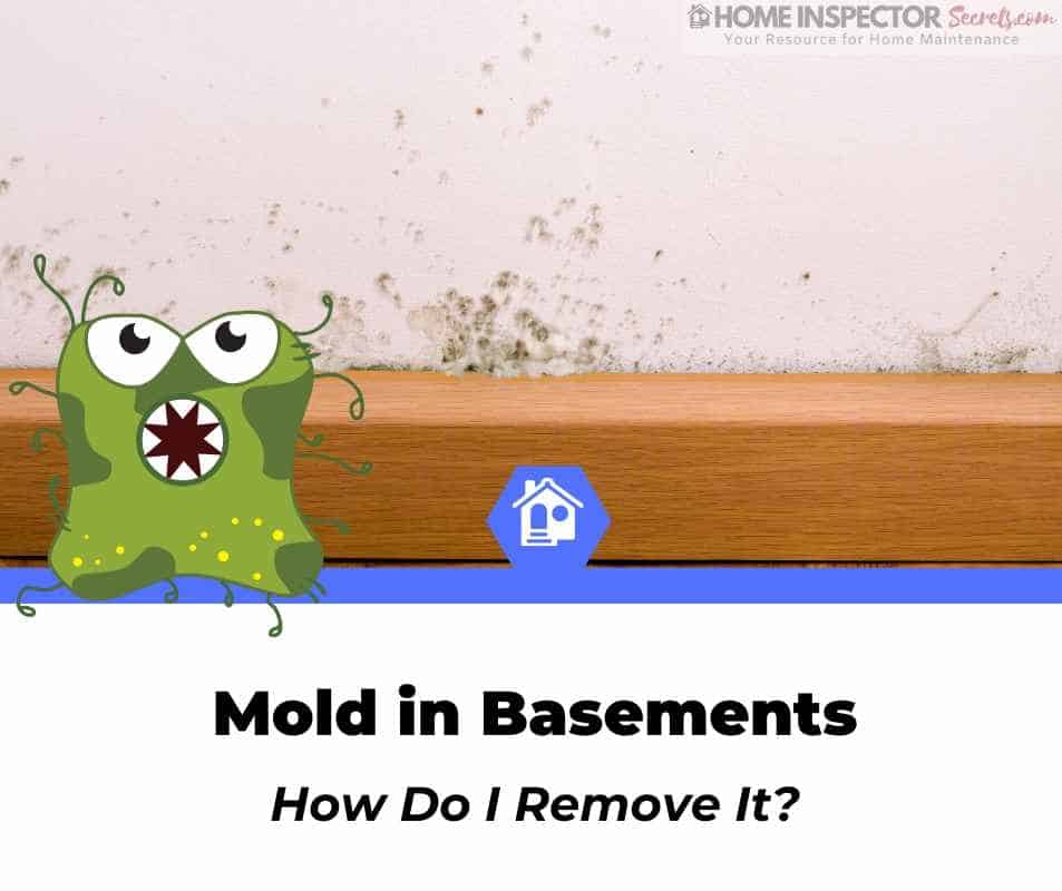 how to get rid of mold in basement