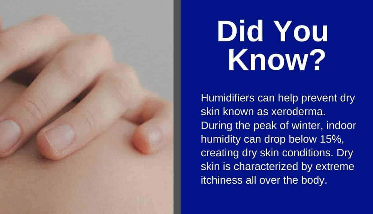 how to clean a honeywell humidifier (1) how to clean a honeywell humidifier (1)