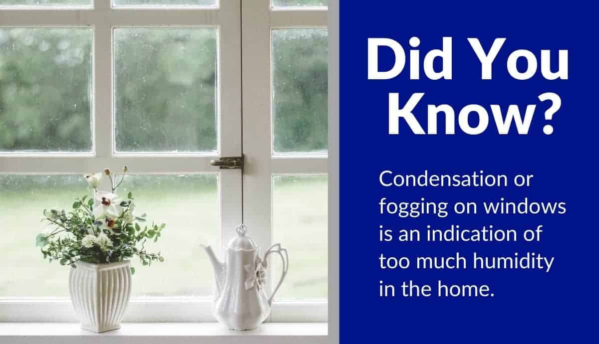 top best rated whole house steam humidifier reviews