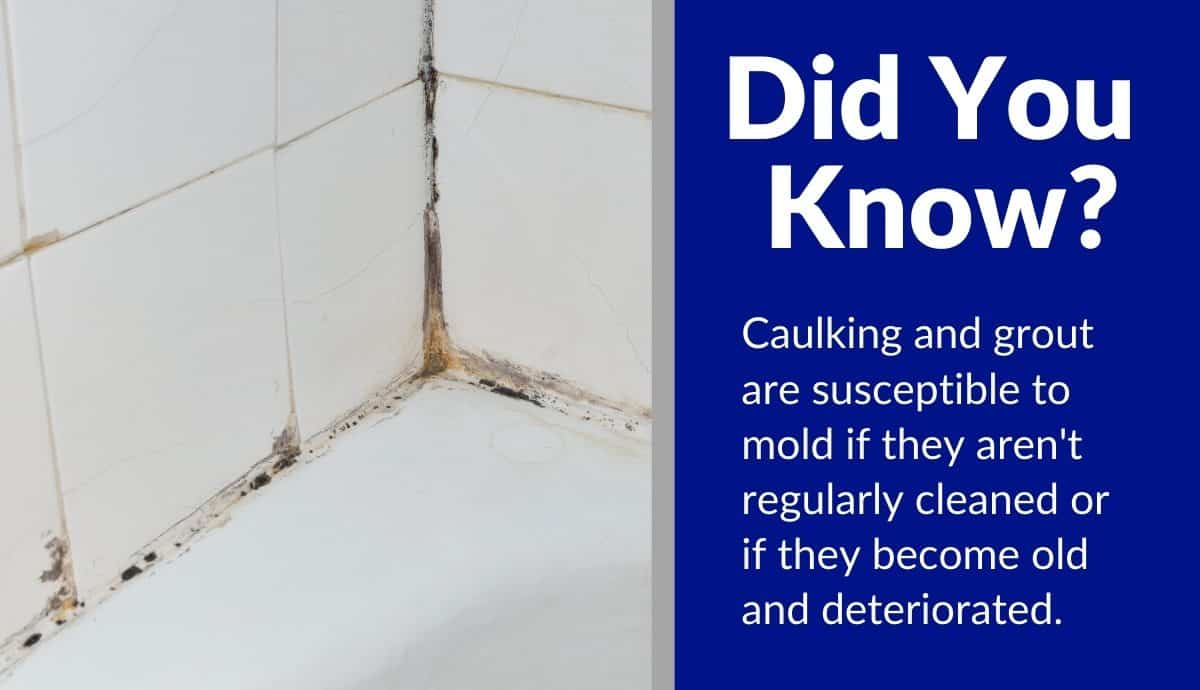 how to prevent mold in bathroom without fan how to prevent mold in bathroom without fan