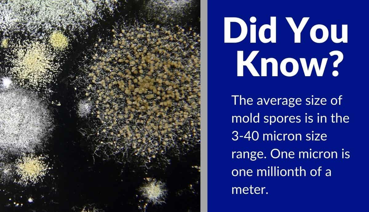 top best rated furnace filter for mold reviews (1) top best rated furnace filter for mold reviews (1)