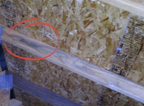 mold growing on roof truss in attic
