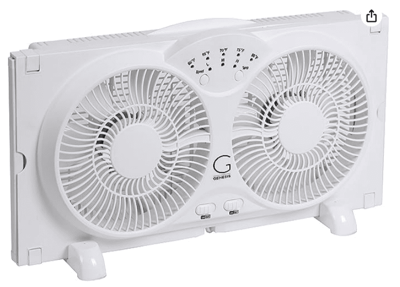 genesis twin genesis twin