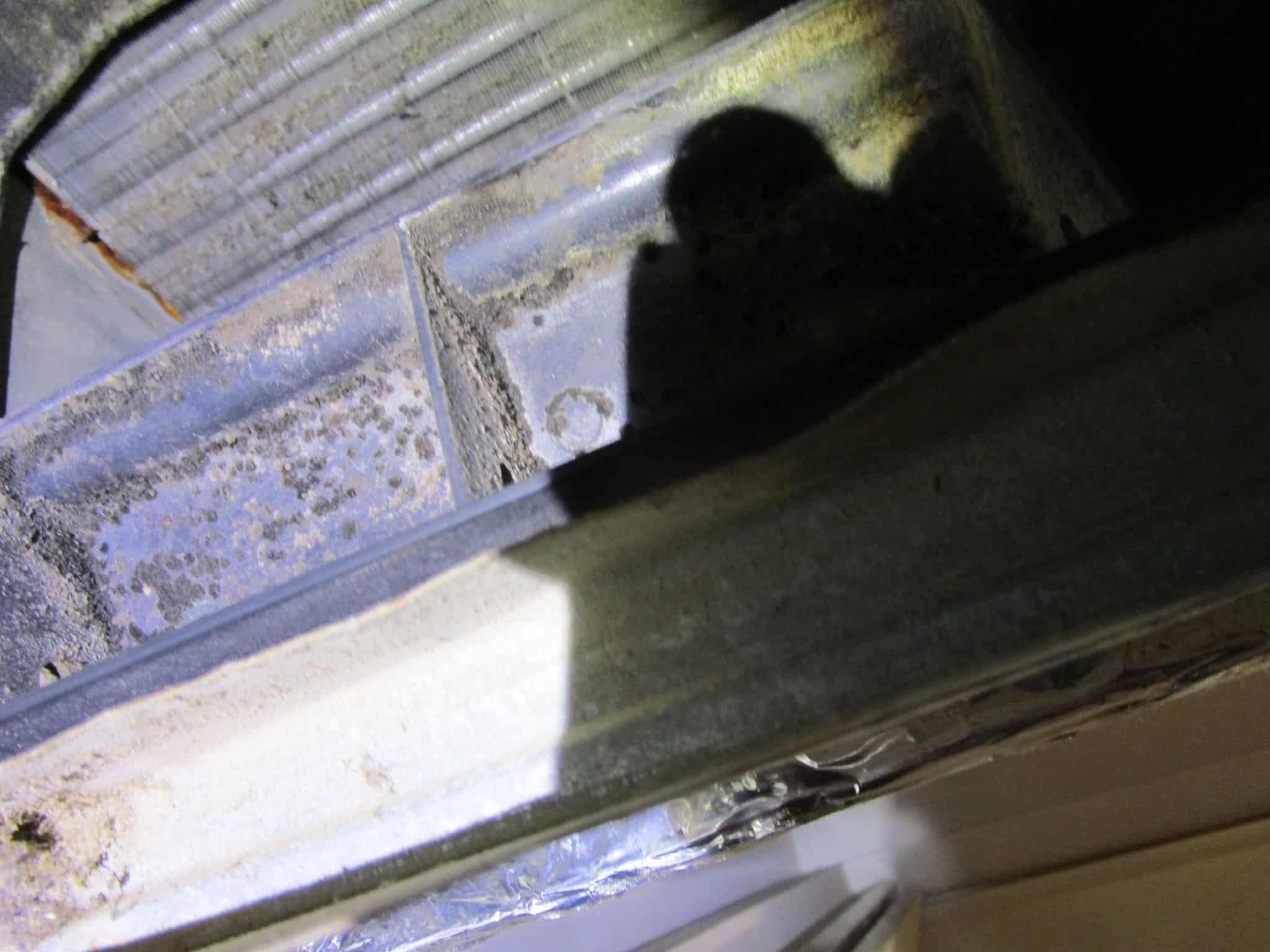 mold in a/c mold in a/c