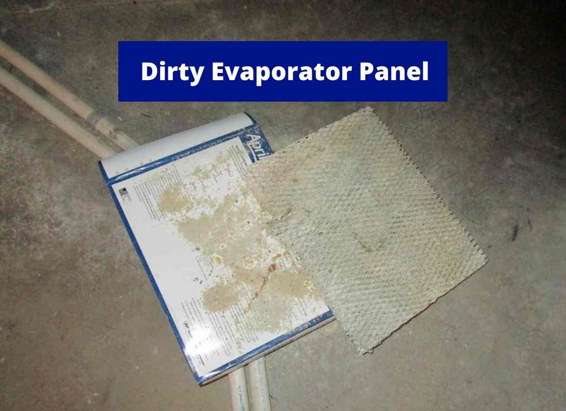 dirty evaporator panel (1) dirty evaporator panel (1)