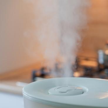 whole house humidifier pros and cons