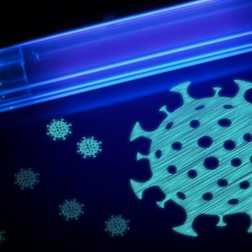 Does UV Light Kill Mold? (4 Reasons It Works) 1 does uv light kill mold