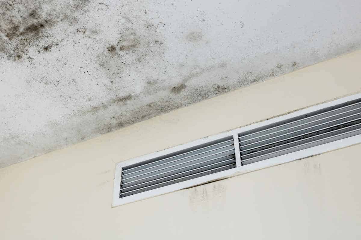 air vent on wall with mold