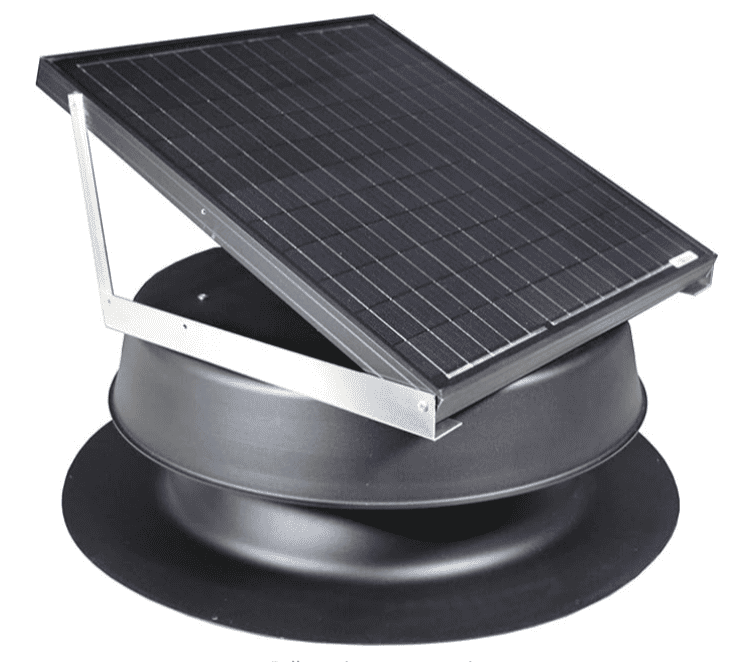 natural light natural light