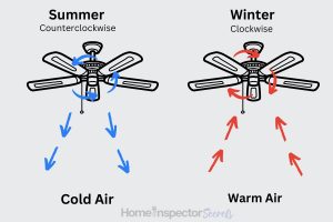 Ceiling Fan Direction For Winter And Summer (Which Way?)