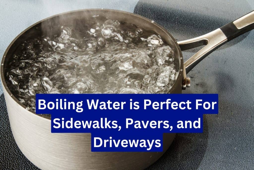 boiling water to kill weeds