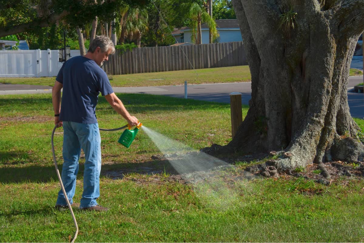 homemade weed killer recipes