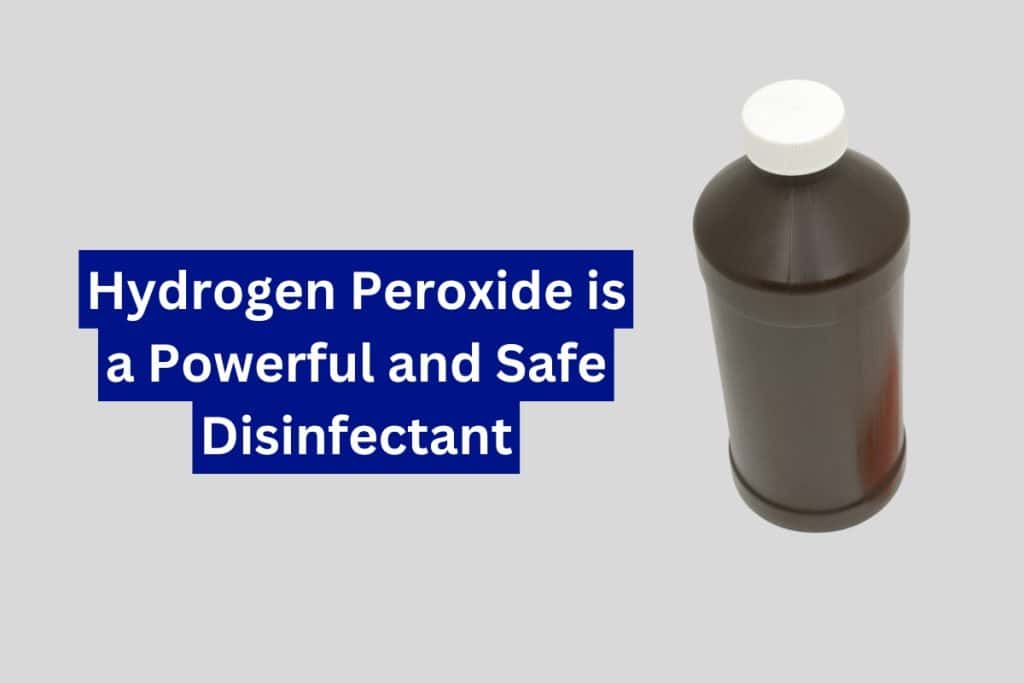 how to clean out a garbage disposal how to clean out a garbage disposal