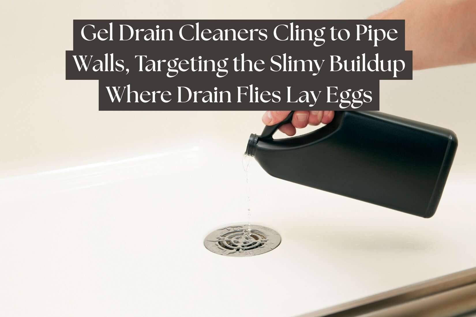 12 Ways To Get Rid of Drain Flies (Natural & Chemical Methods)