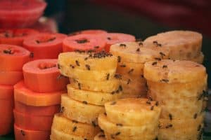 get rid of fruit flies