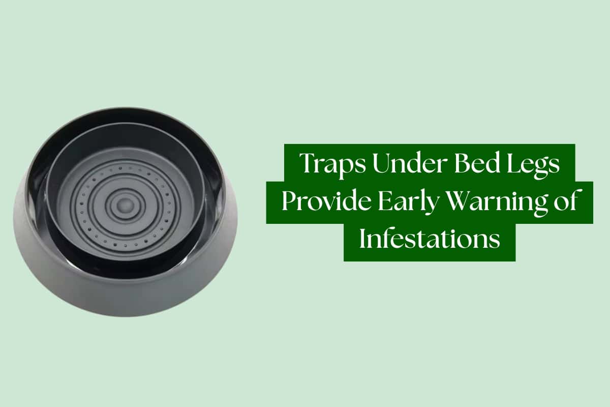 How To Check For Bed Bugs (Signs And Inspection Tips)