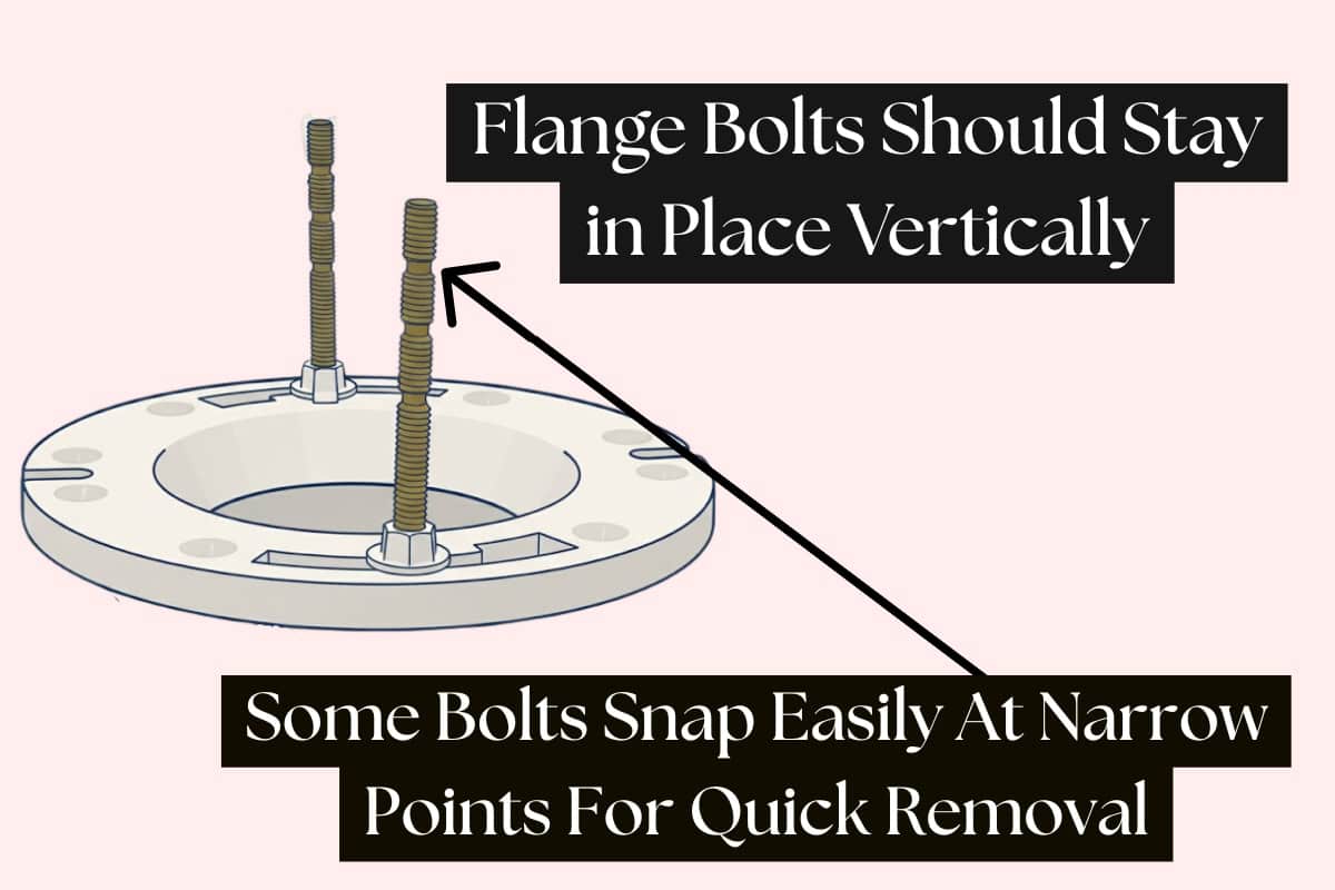 7-Steps to Installing or Replacing a Toilet (Flange Prep Included)
