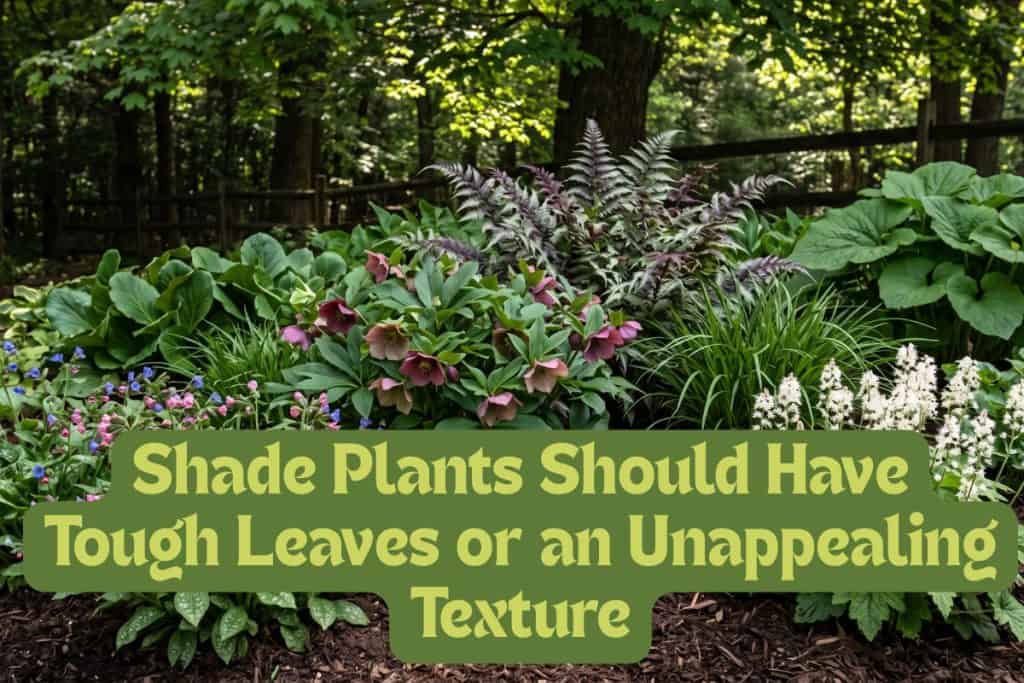 deer-resistant shade plants